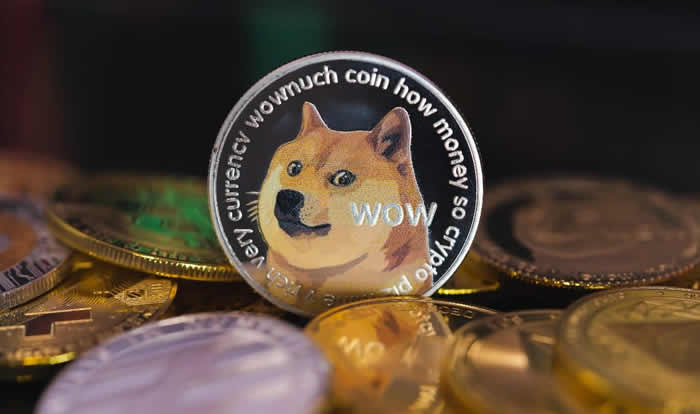 狗狗币购买攻略：手把手教你买doge币