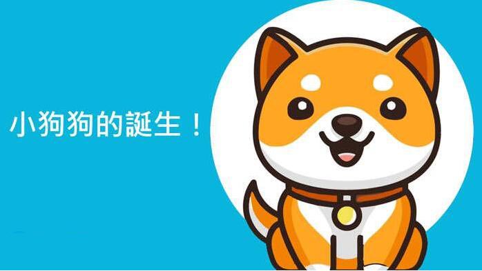 狗狗币与宝贝狗币有哪些不同