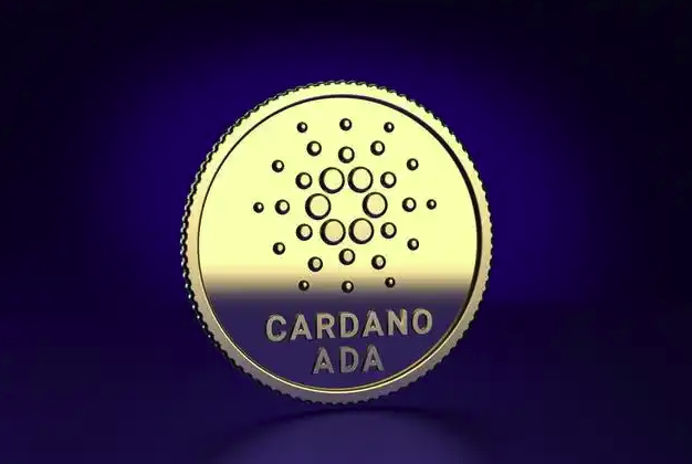 ADA币投资风险与代币经济价值深度解析