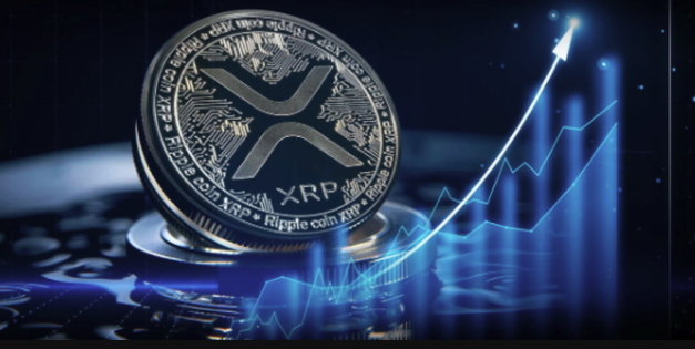 XRP币代币经济与投资风险深度解析