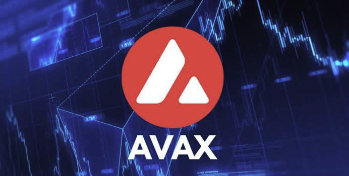 AVAX代币经济与投资风险解析 新手必读指南
