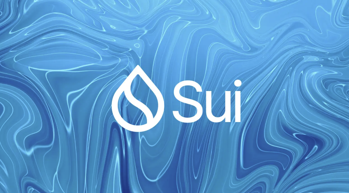Sui币的核心功能有哪些基础应用-支持并行执行的它如何优化支付效率