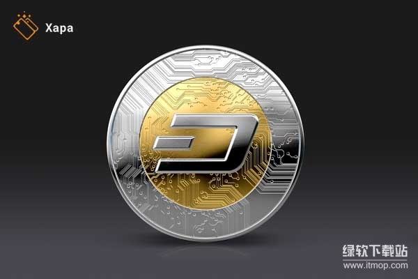 DASH币是什么？揭秘隐私保护功能的实现原理