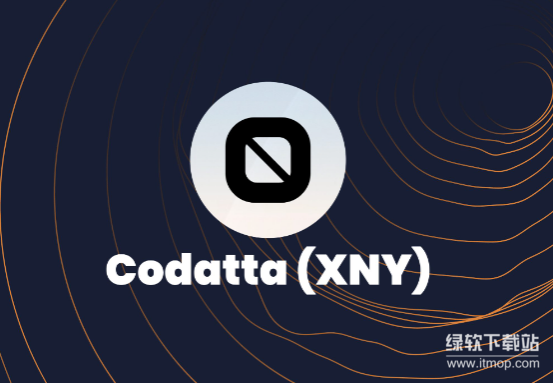 XNY币投资风险解析：如何应对市场波动与政策变化