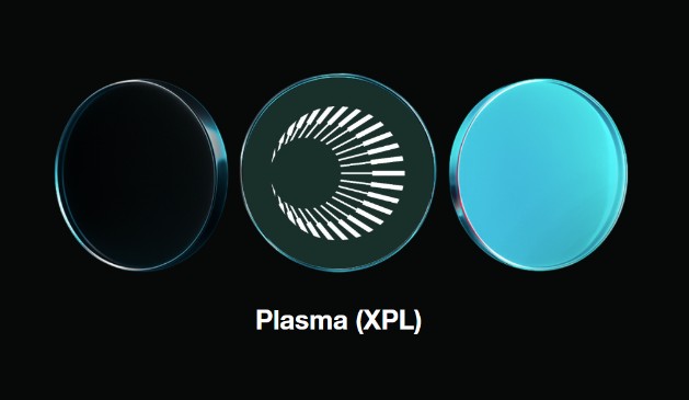 XPL币如何购买？币安购买XPL币详细指南