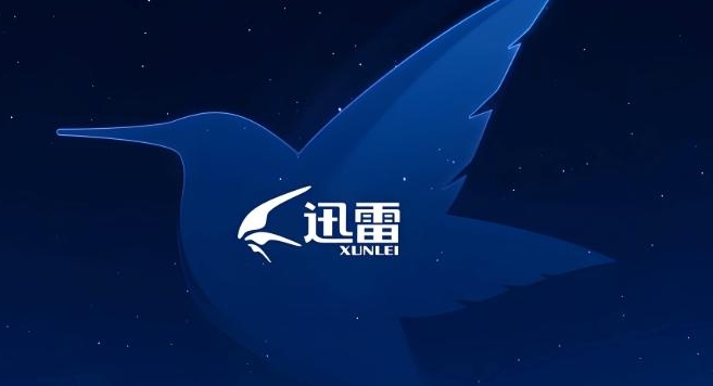 迅雷在线观看入口-迅雷在线观看免费观看