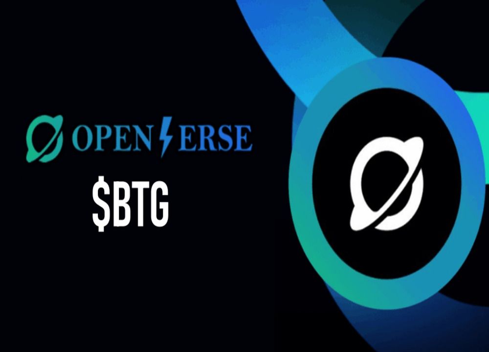 Openverse Network (BTG) 是什么币？深度解析BTG代币机制、发展路线与未来价值