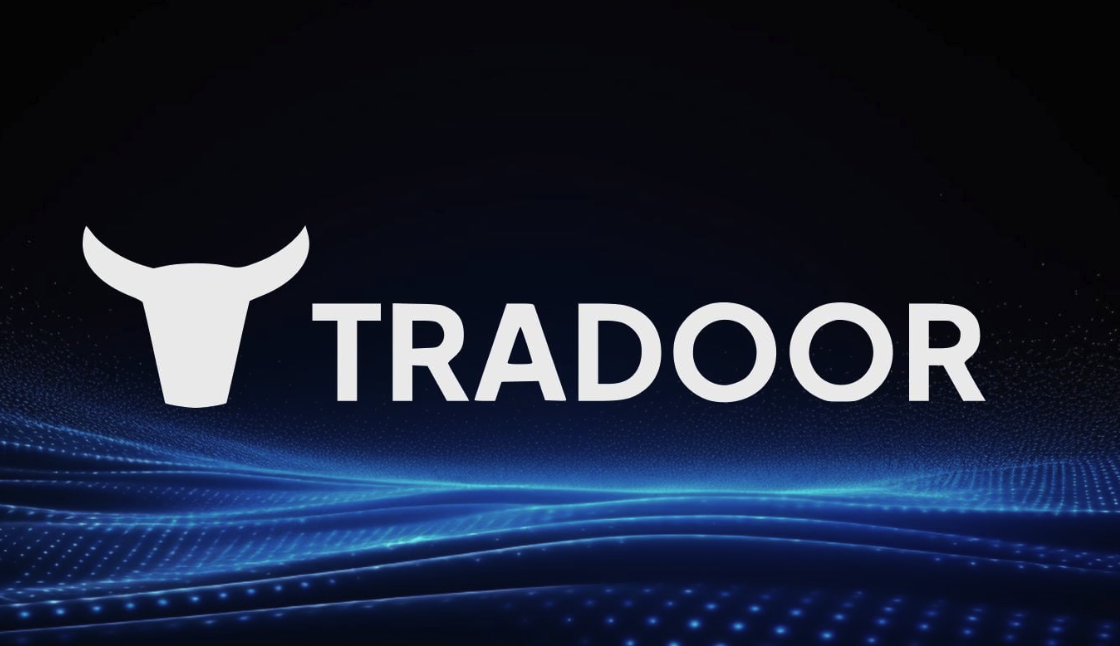 Tradoor币解析-打造高效去中心化衍生品平台