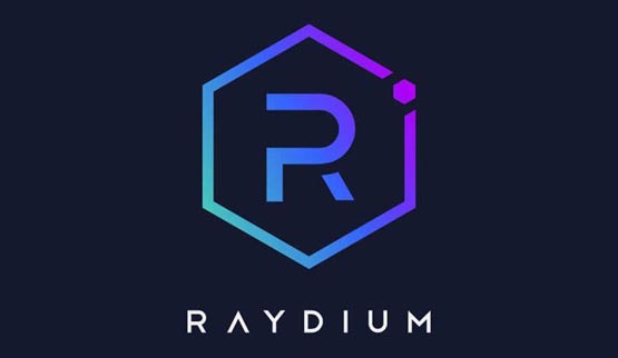 RAY币总量有多少？详解RAY币发行与流通量