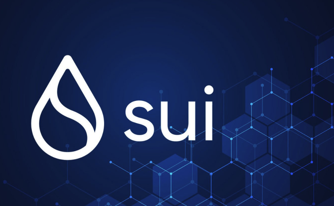 Sui隐私技术的ZK证明究竟是什么-ZK证明如何确保用户数据安全