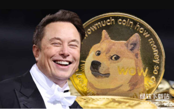 如何科学投资马斯克力挺的狗狗币-新手必知入门要点