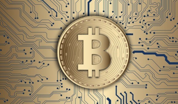 SOL币实时行情怎么看-判断价格的关键信息有哪些