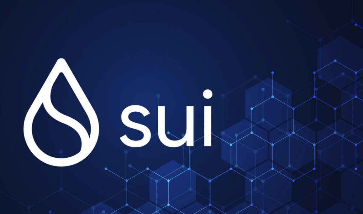 Sui币如何赋能治理-持有者参与网络决策升级的关键作用