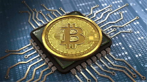 PIPPIN股价飙升20%——深度解析市场波动与强势反弹