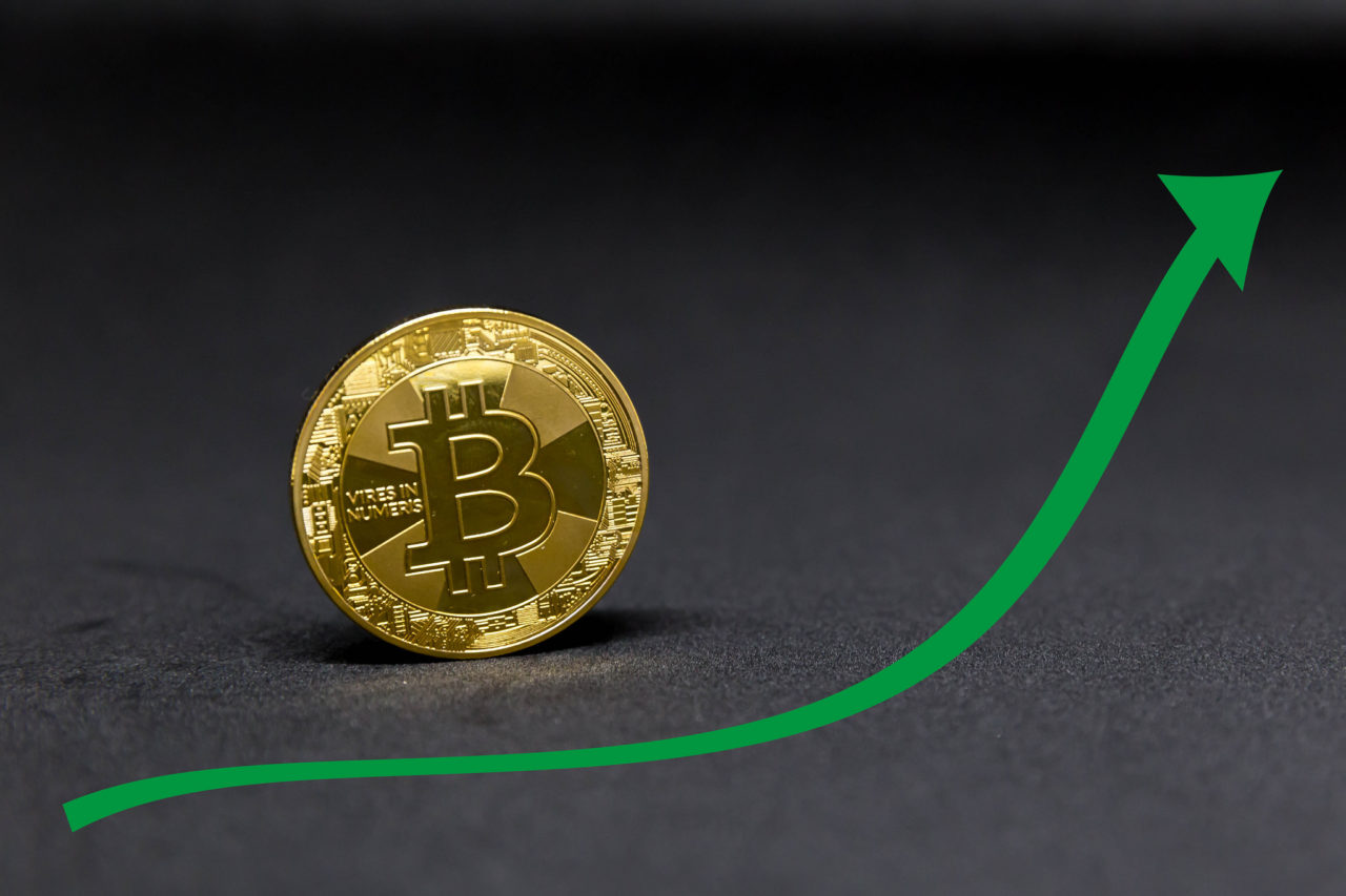 灰度数字资产持仓动向：BTC占比缩减 山寨币机遇显现？