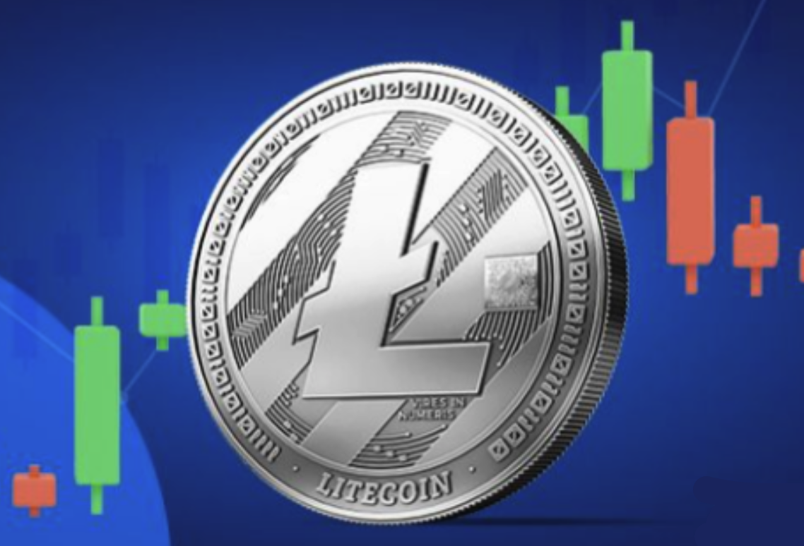 LTC币怎么安全存储-冷钱包推荐指南