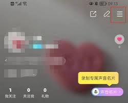 赫兹app如何开启财富等级