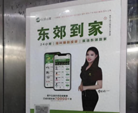 东郊到家498法式spa怎么样-东郊到家498暗号大全