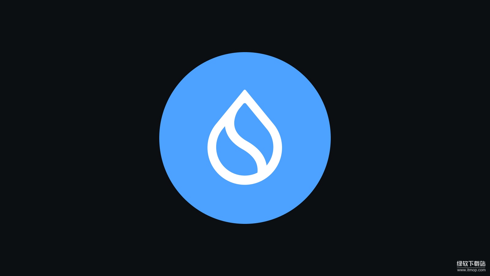 SUI代币的核心功能有哪些-SUI代币怎样用于支付网络交易手续费