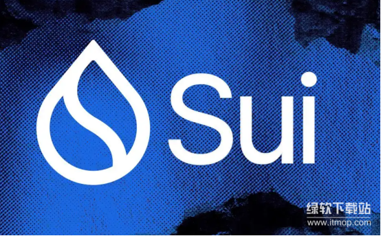 Sui社区提案流程详解-SUI持有者投票决策指南