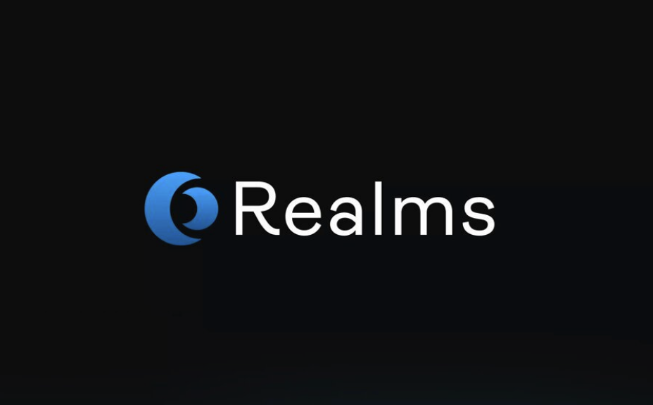 Solana链上治理工具解析-Realms如何助力高效决策
