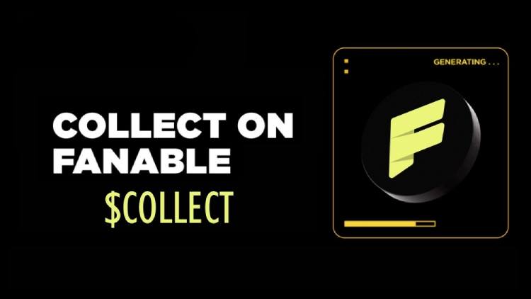 COLLECT币全面介绍