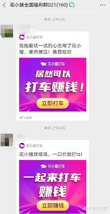 花小猪怎么发朋友圈能赚钱