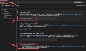 VSCode如何设置恢复转发端口