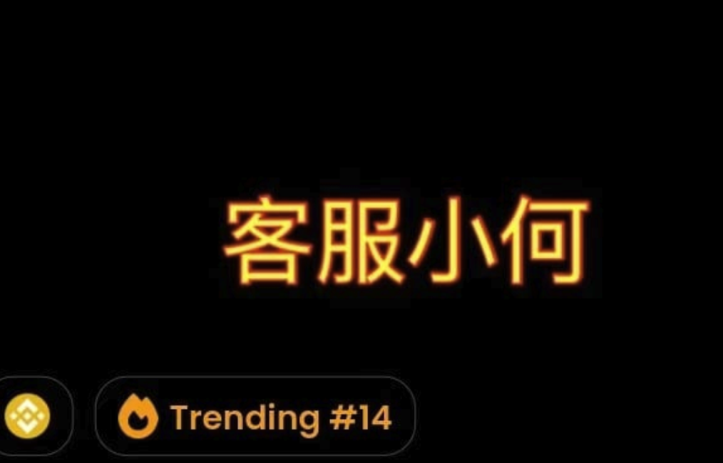 “客服小何”是什么梗-为何受币某安高管力推短期疯涨