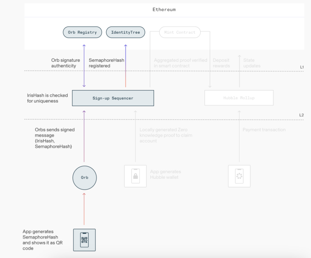 Worldcoin生态系统