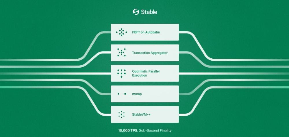 Stable(STABLE)币全面介绍