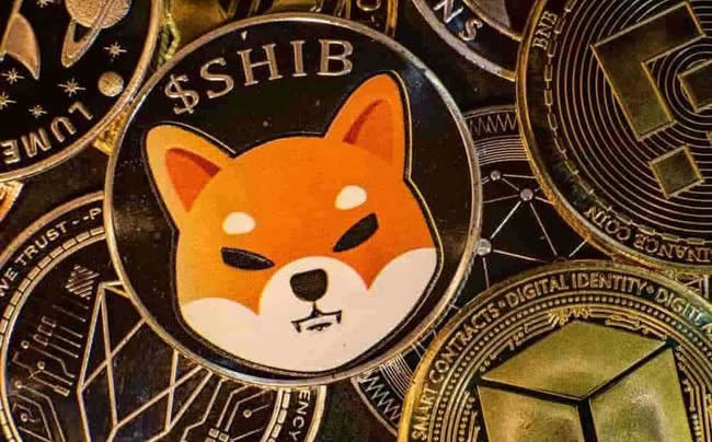 shib能在哪些交易所购买？热门数字货币平台榜单