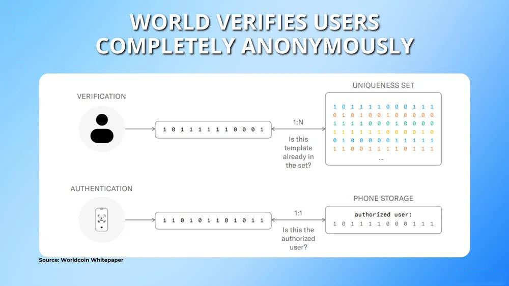 世界币（World）是什么？详解代币经济学·购买指南与未来价格展望