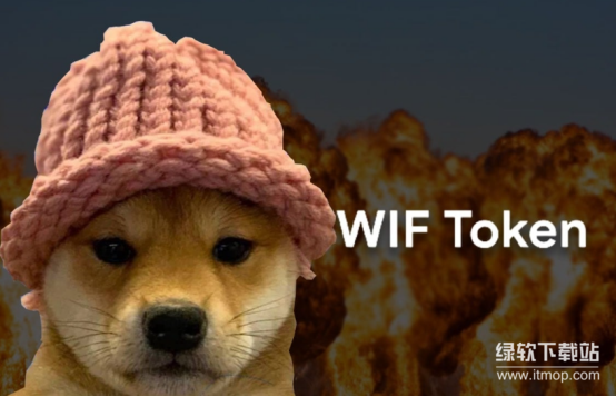 WIF币为何拥有文化基因-揭秘迷因币火爆的核心密码