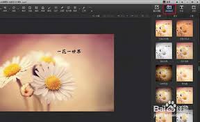 光影魔术手怎么去除图片文字