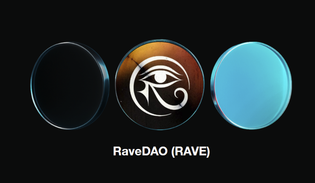 RAVE币是什么-持有者如何参与活动选址与公益资金决策