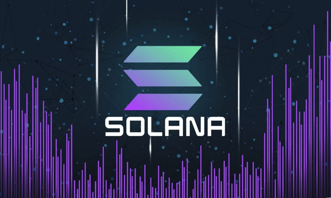 1767581152594578.png image.png