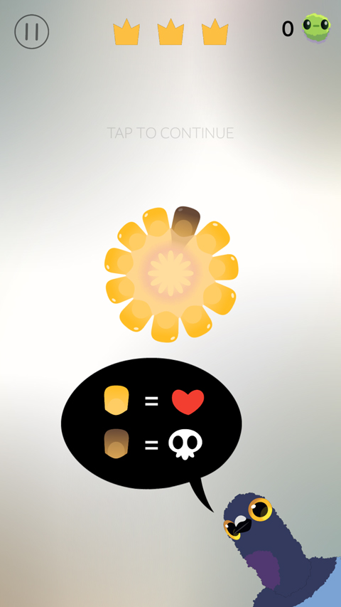 疯狂的鸽子(Pigeon Pop)