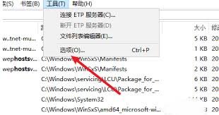 Everything如何开启服务功能