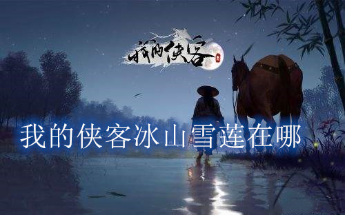 我的侠客冰山雪莲购买位置获得方法介绍