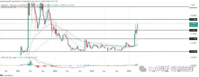 狗狗币2024最新价格表：实时价目一览