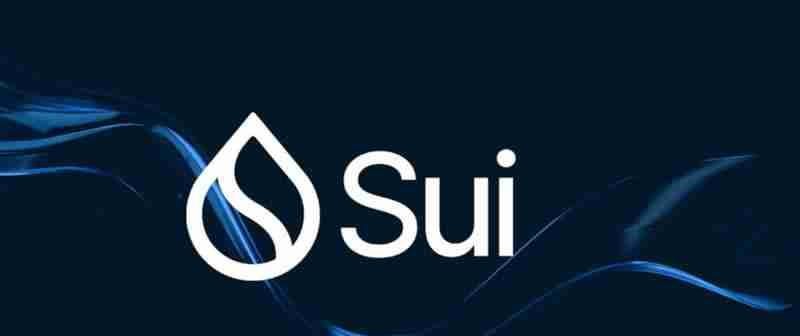 Sui代币特点在哪？Sui的未来发展方向如何？
