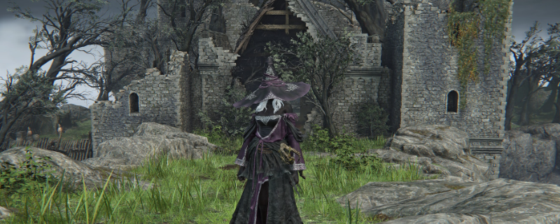 《艾尔登法环：黑夜君临》神鹰哥流派推荐