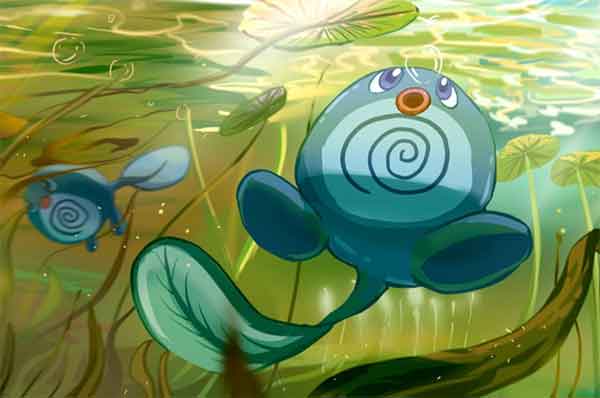 漆黑的魅影5.0一周目什么宝可梦值得练？