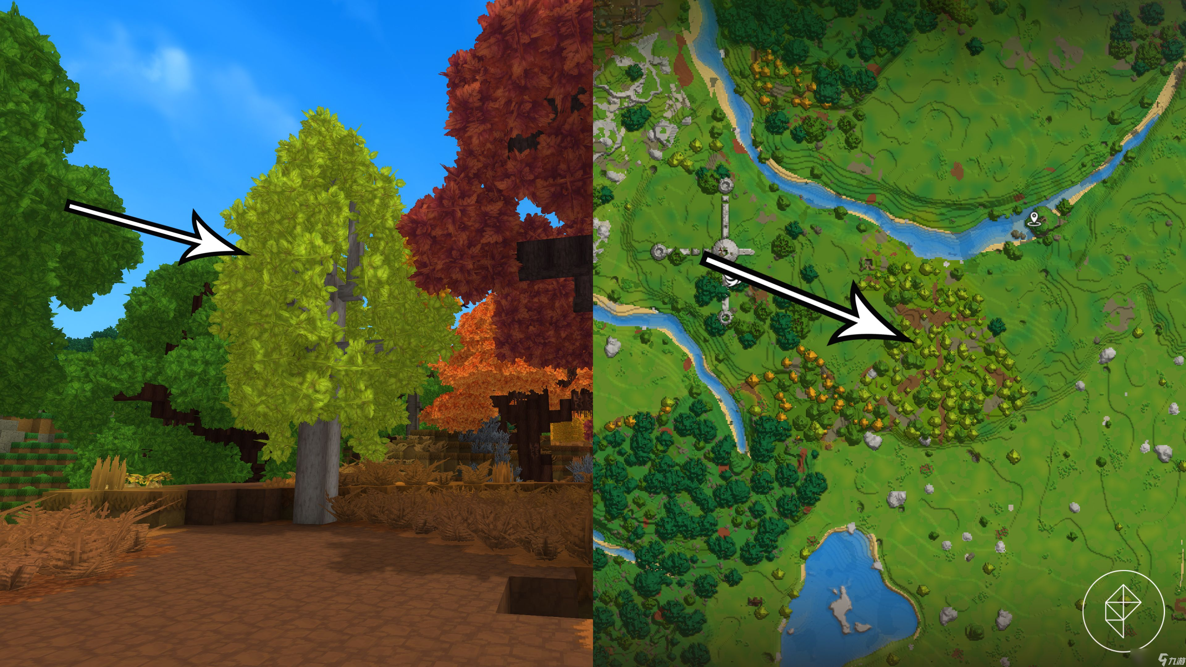 怎么在 Hytale 中获取浅色木原木