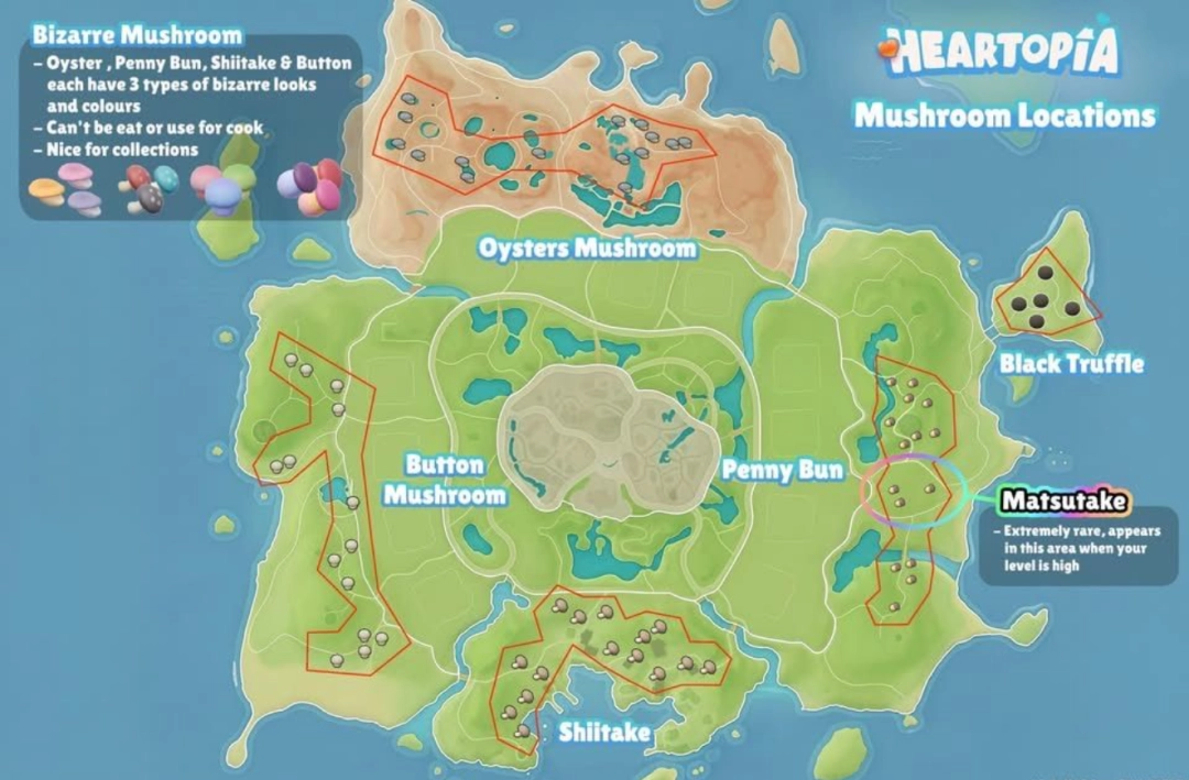 《心动小镇》全种类蘑菇具体位置介绍