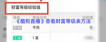 酷狗直播如何查看财富等级