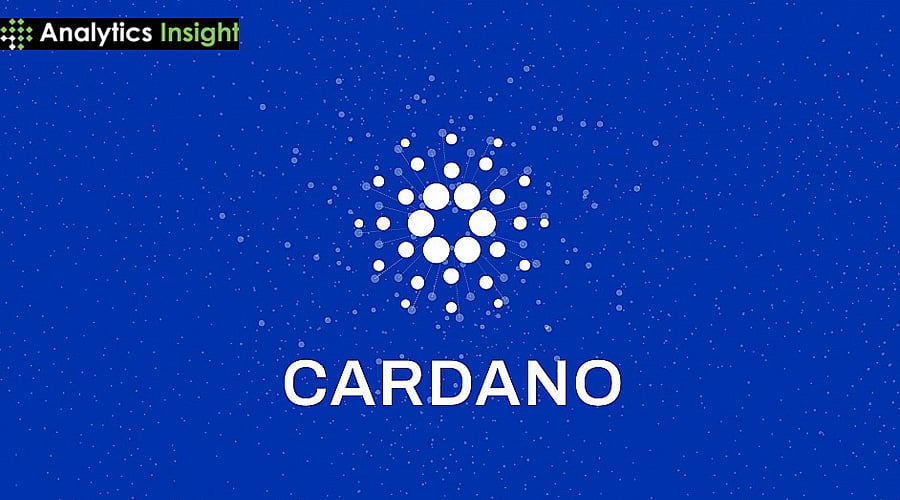 今日卡尔达诺新闻：ADA价格在下跌17%后测试关键支撑位，复苏信号疲软