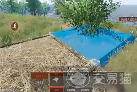 失控进化如何建造房子