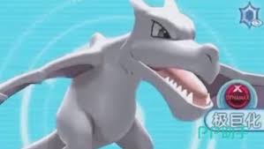 宠物集结新手如何玩